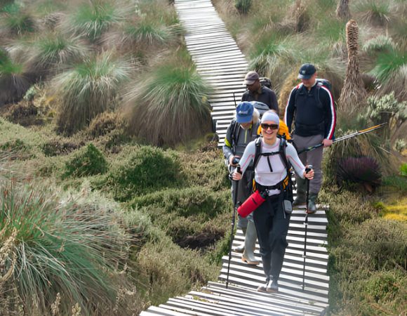 Classic 9 Days Rwenzori Trekking