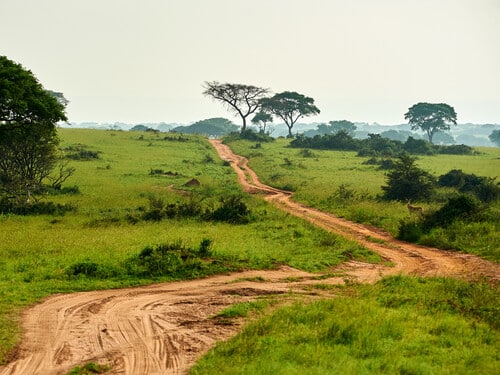 Savanah Africa Safari Murchison Falls National Park Uganda