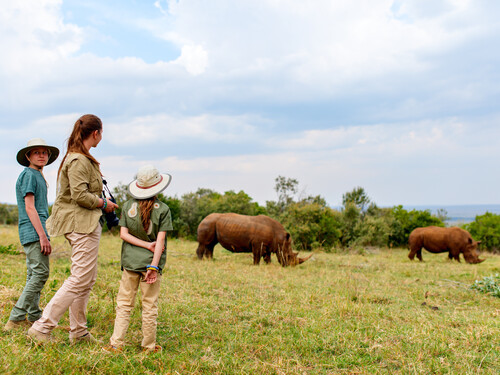 Back view of family on safari walking close to  white rhino
